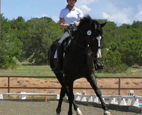 Keene Dressage, a horse in self carriage
